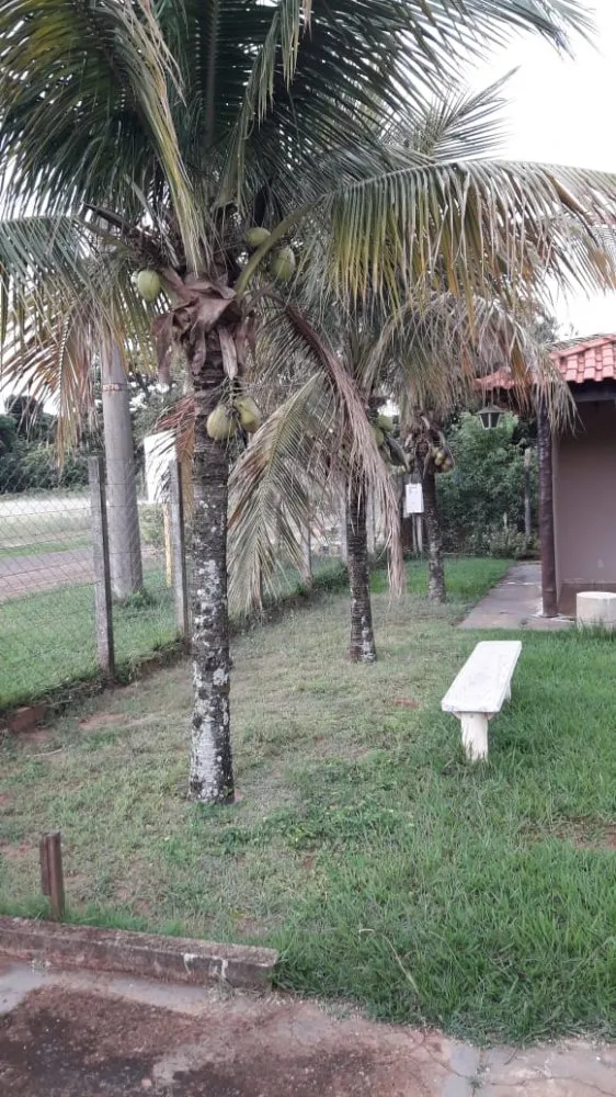 Chácara, 1 quarto, 1000 m² - Foto 5