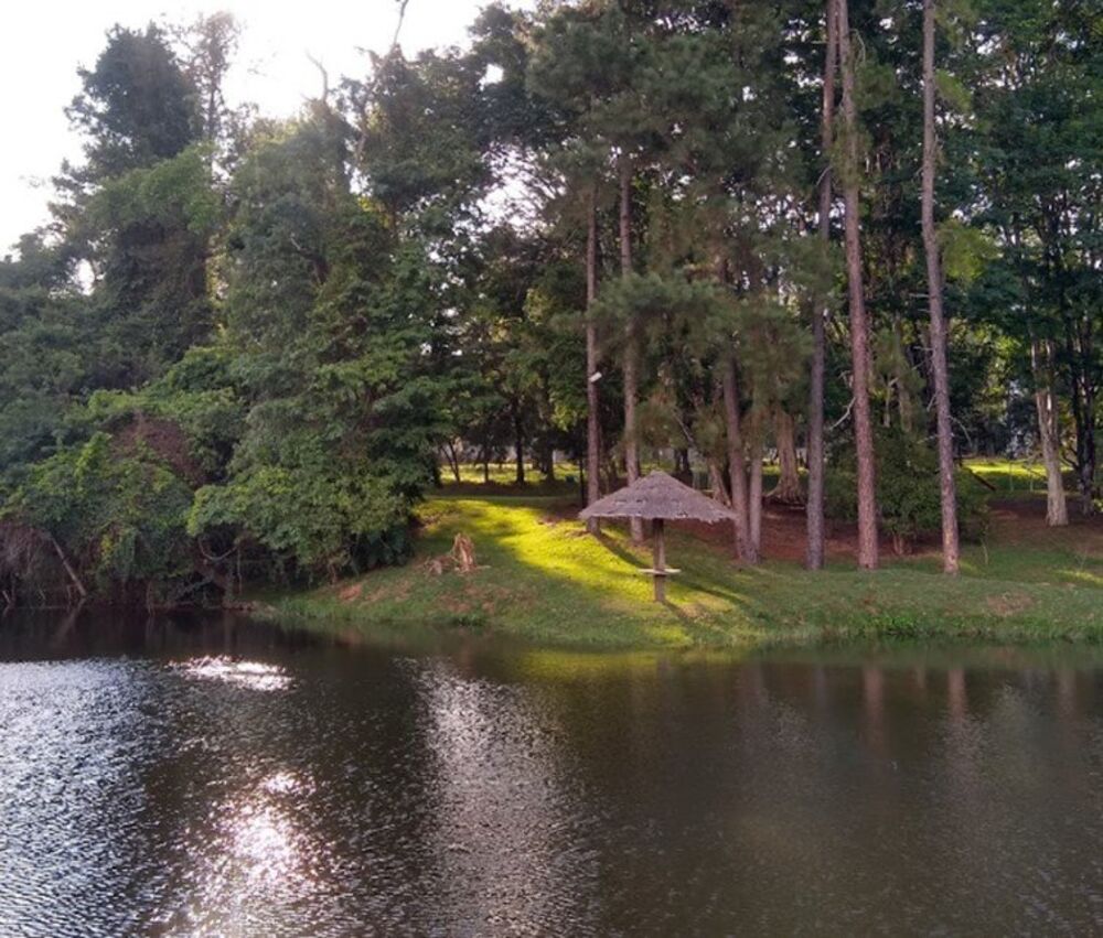 Casa à venda com 3 quartos, 455m² - Foto 4