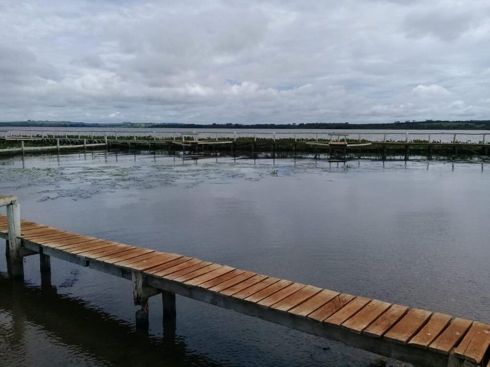 Terreno, 864 m² - Foto 13