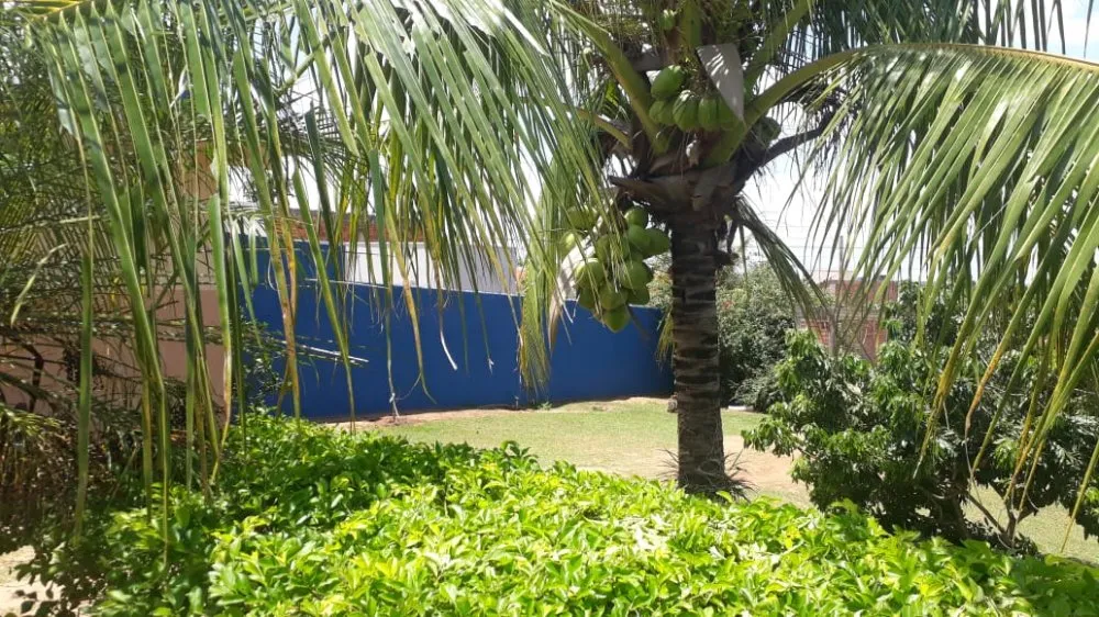 Chácara, 2 quartos, 700 m² - Foto 8