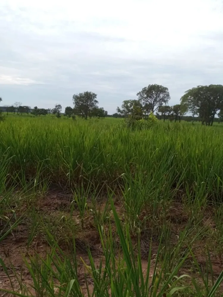 Fazenda, 6300 m² - Foto 3