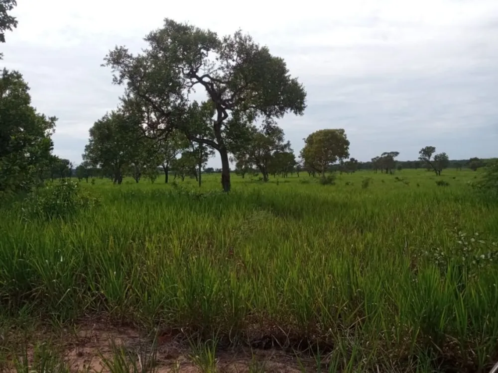 Fazenda, 6300 m² - Foto 2