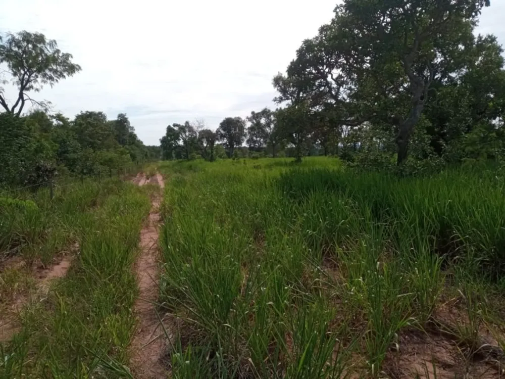 Fazenda, 6300 m² - Foto 1