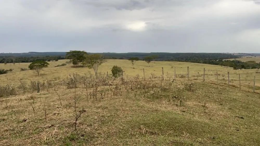 Fazenda, 46 m² - Foto 1