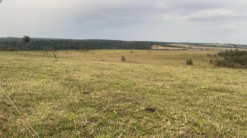 Fazenda, 46 m² - Foto 6