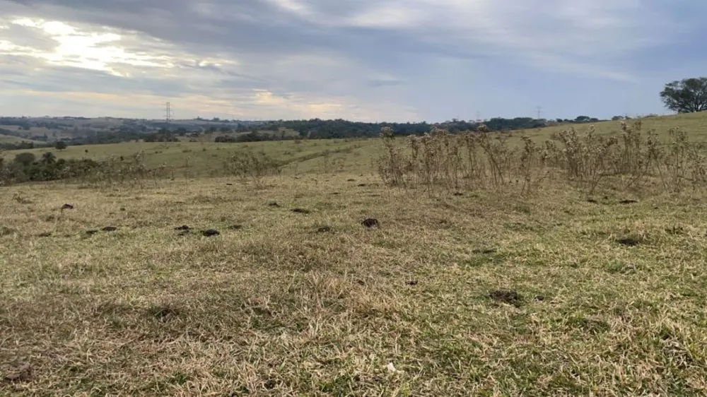 Fazenda, 46 m² - Foto 5