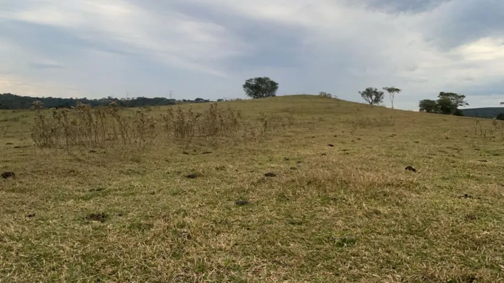 Fazenda, 46 m² - Foto 4