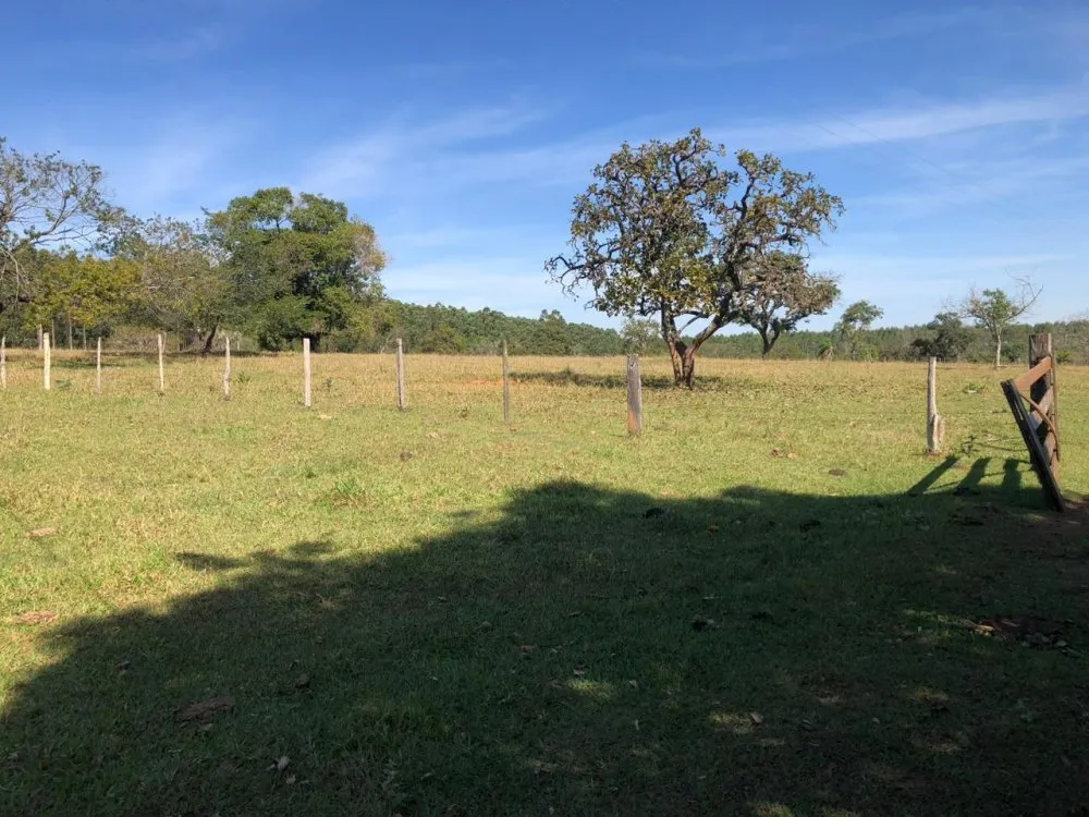 Sítio, 41 hectares - Foto 3
