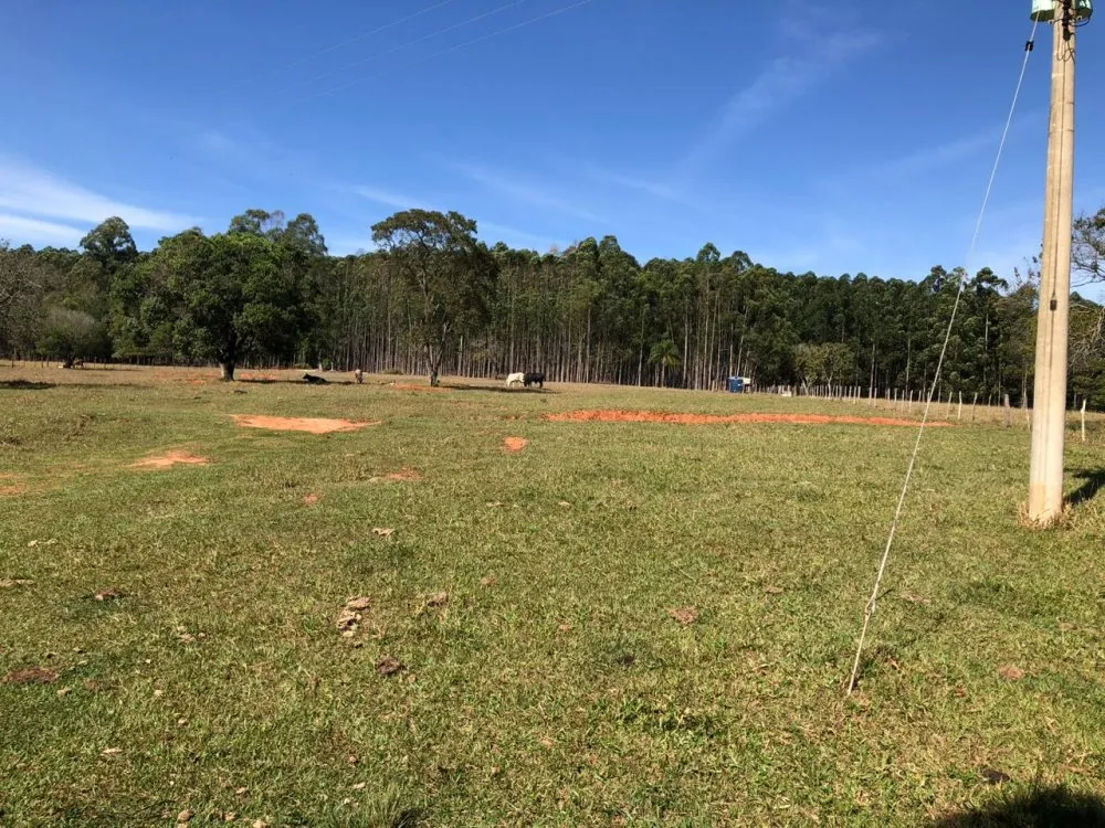 Sítio, 41 hectares - Foto 4