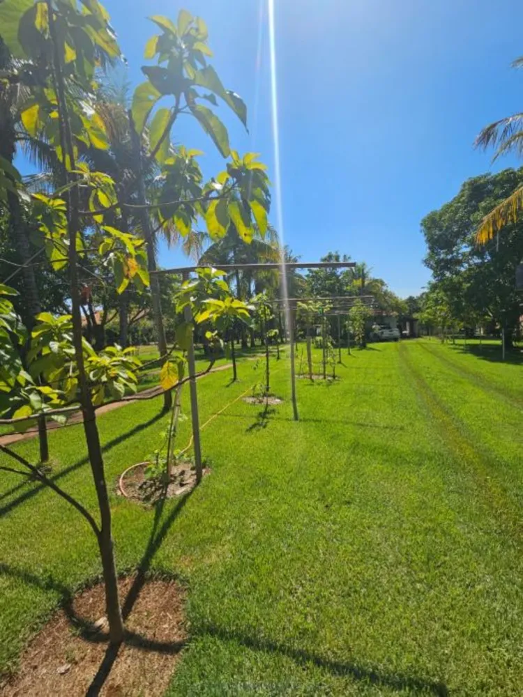 Chácara, 4 quartos, 1200 m² - Foto 1