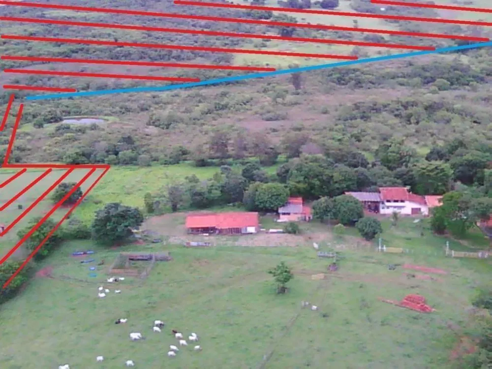 Sítio, 41 hectares - Foto 6