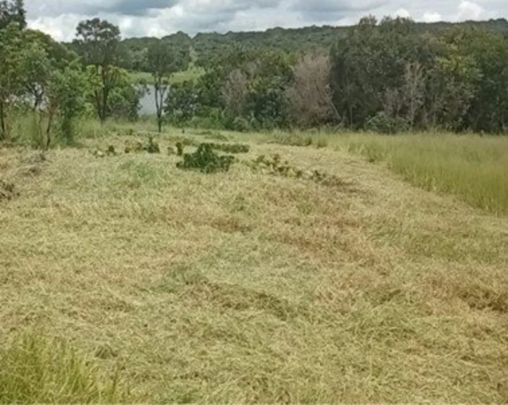 Terreno, 495 m² - Foto 1