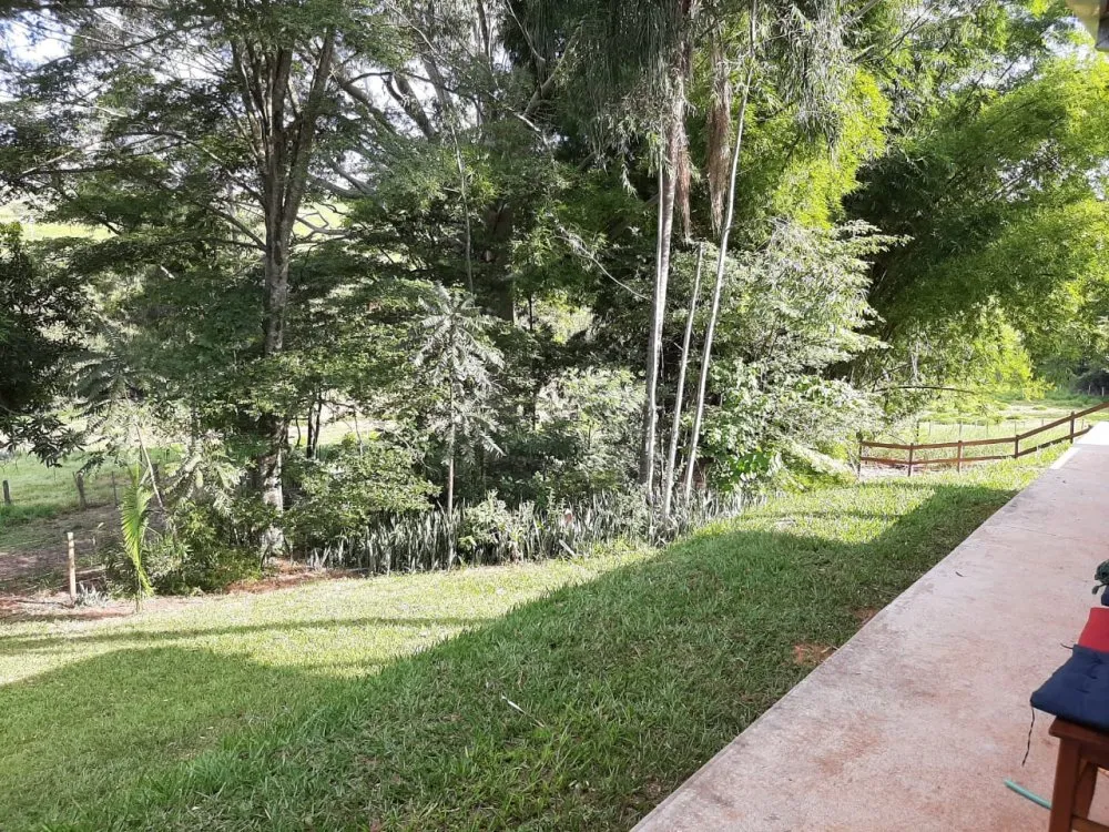 Fazenda, 41 hectares - Foto 11