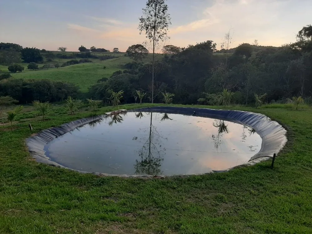 Fazenda, 41 hectares - Foto 6