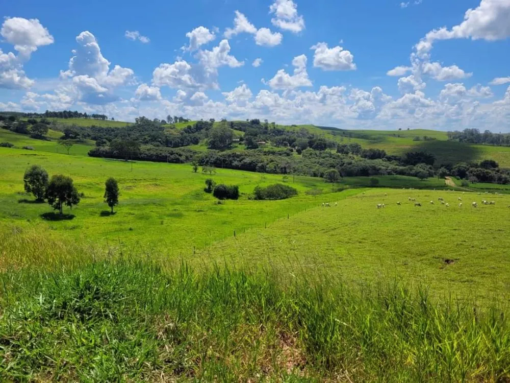 Fazenda, 41 hectares - Foto 2