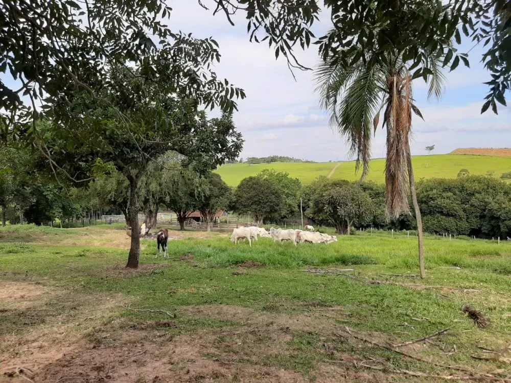 Fazenda, 41 hectares - Foto 5