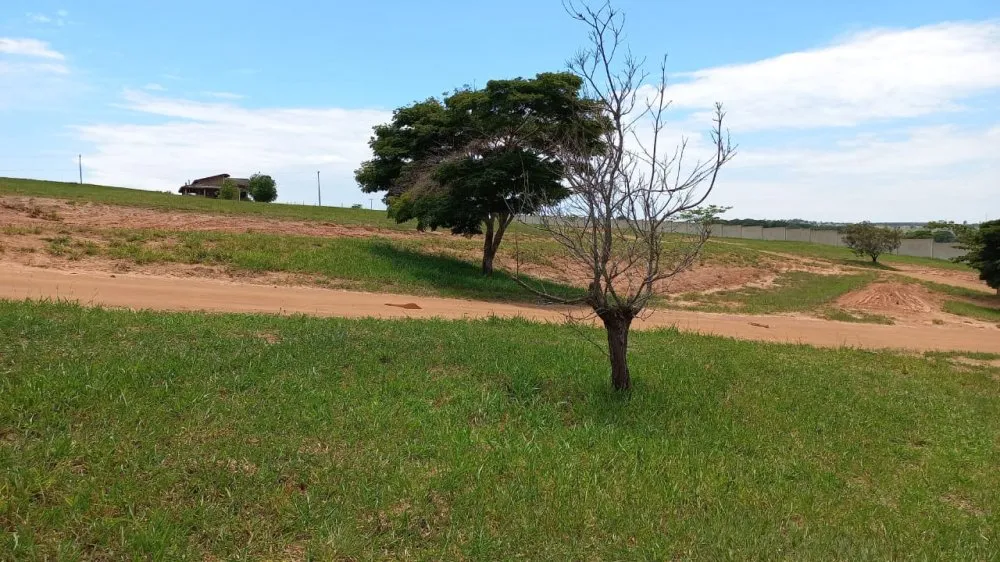 Terreno, 450 m² - Foto 2