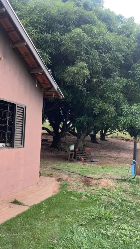Sítio, 2 quartos, 2000 m² - Foto 6