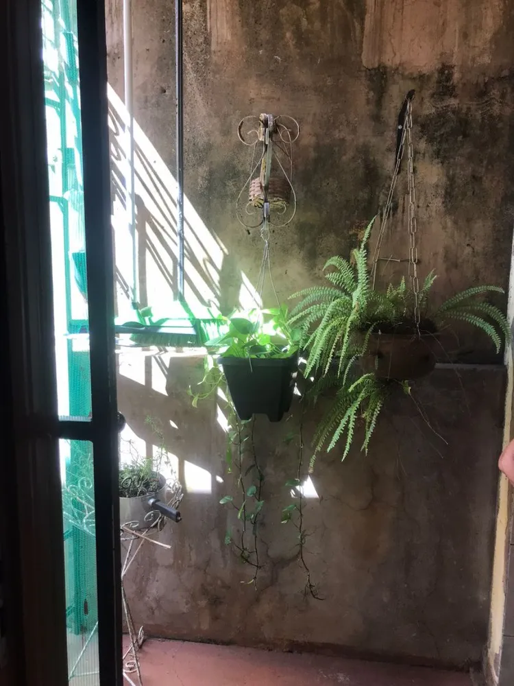 Casa, 3 quartos, 202 m² - Foto 4