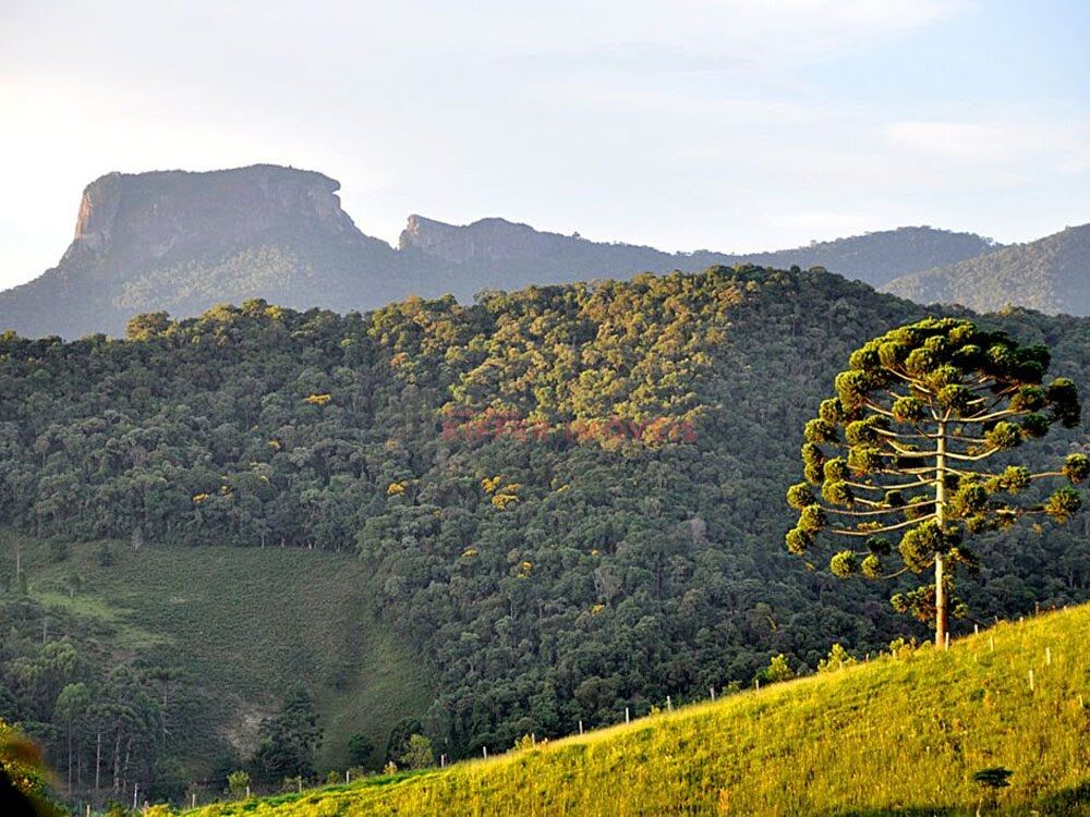 Terreno, 352 m² - Foto 4