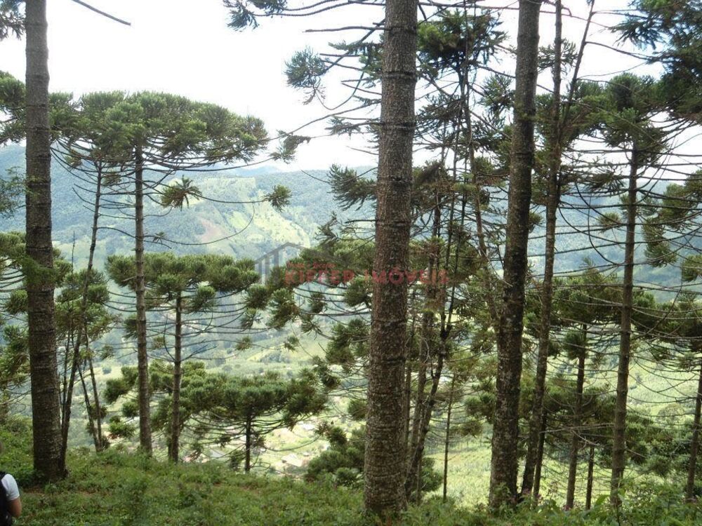 Terreno, 352 m² - Foto 3