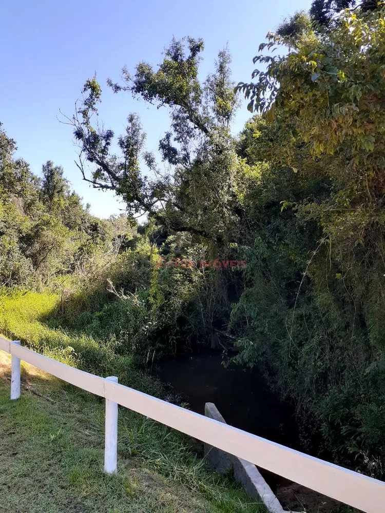 Terreno, 2 hectares - Foto 6