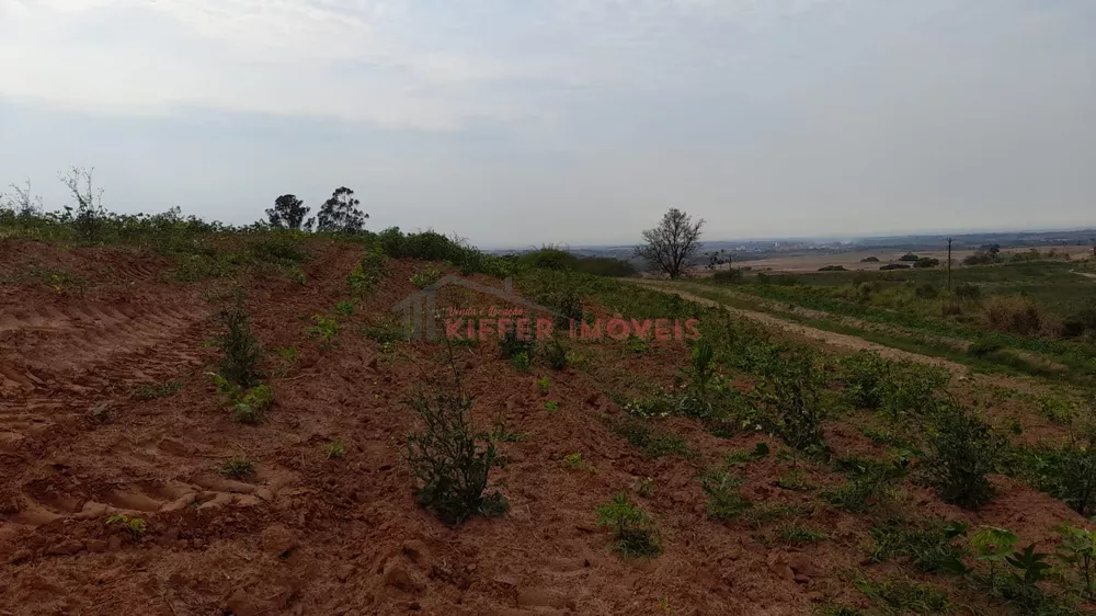 Fazenda à venda - Foto 4