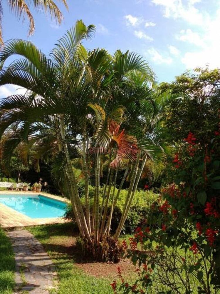 Chácara, 3 quartos - Foto 20