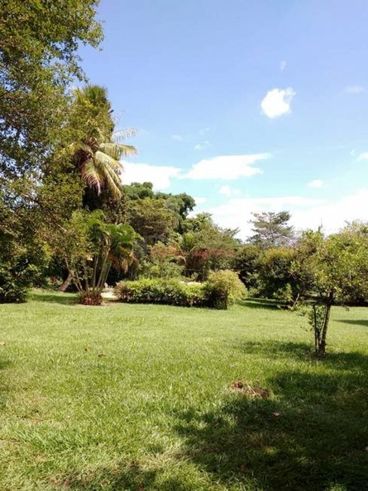 Chácara, 3 quartos - Foto 19