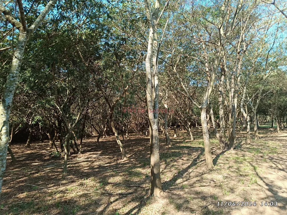 Apartamento, 2 quartos - Foto 12