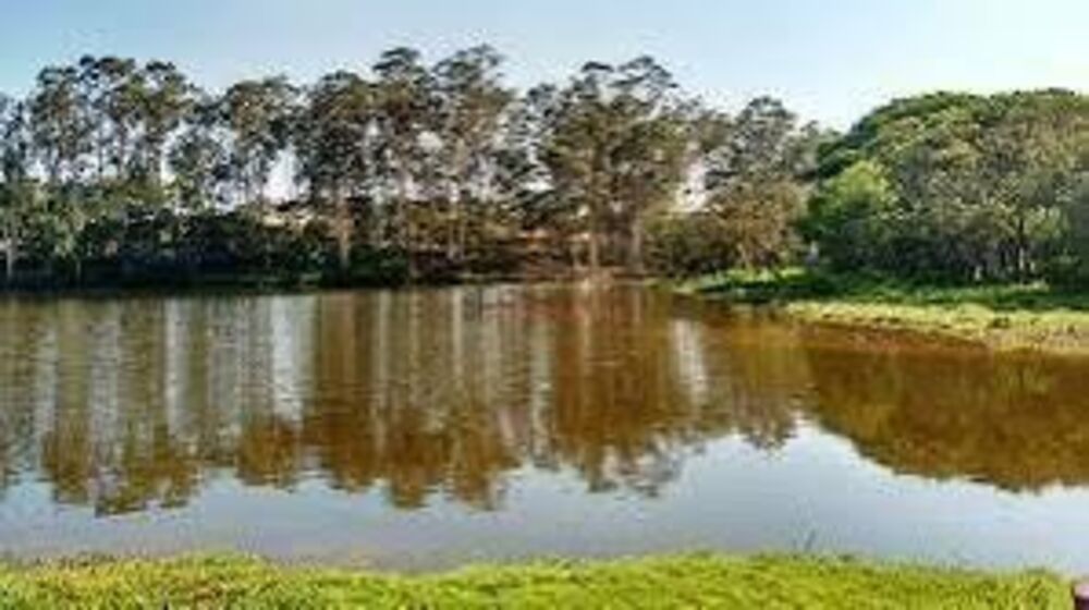 Terreno, 2455 m² - Foto 3