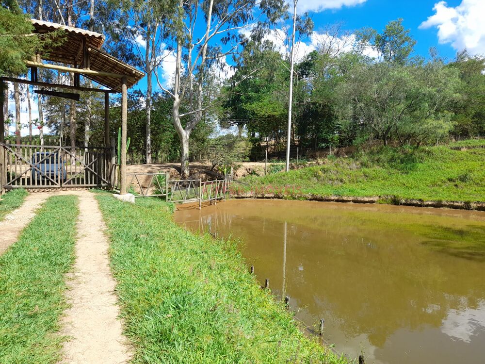 Sítio à venda com 3 quartos, 600000m² - Foto 2
