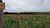 Fazenda-Sítio-Chácara, 2484 m² - Foto 3