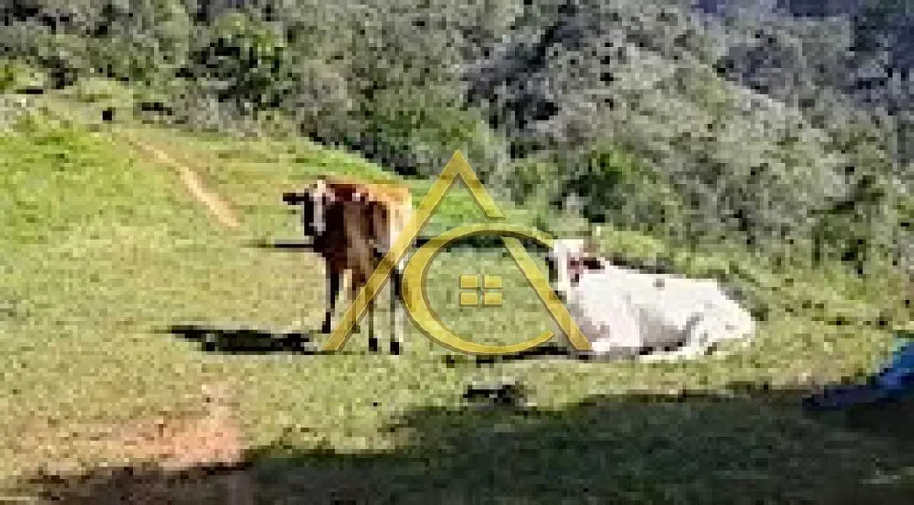 Sítio, 2 hectares - Foto 3