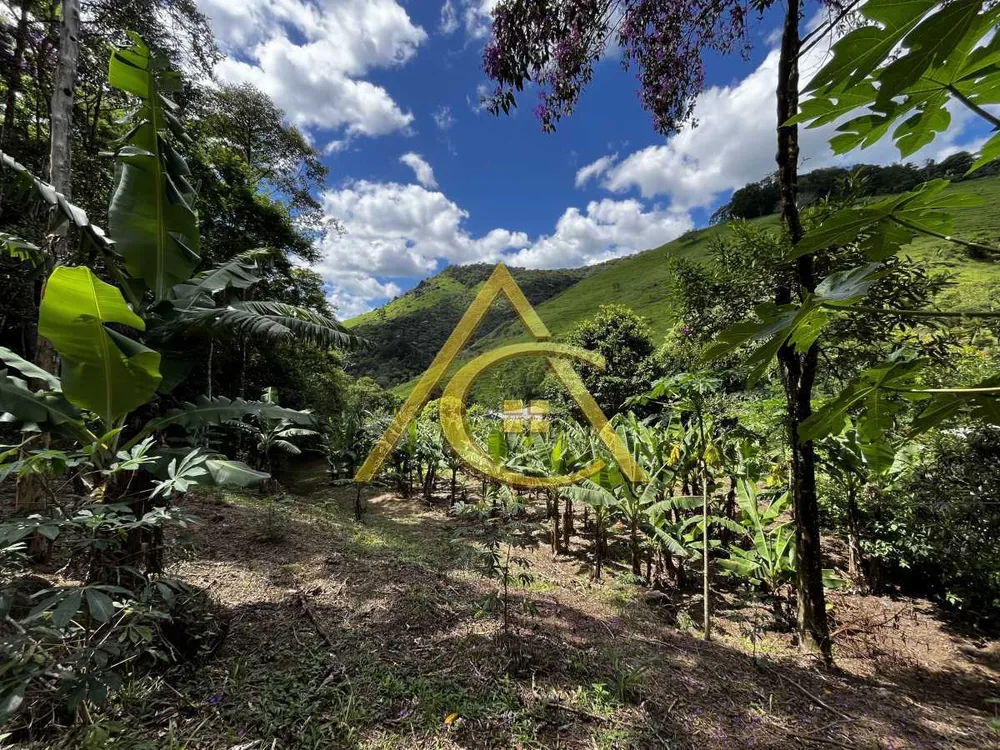 Terreno, 4150 m² - Foto 3