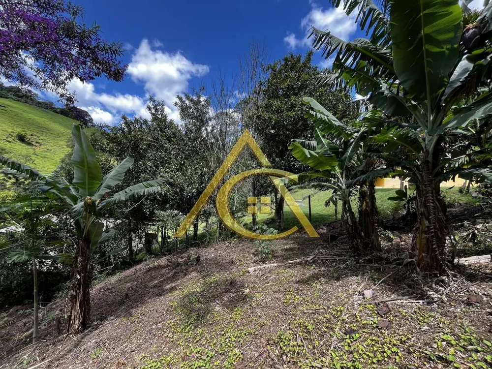 Terreno, 4150 m² - Foto 5