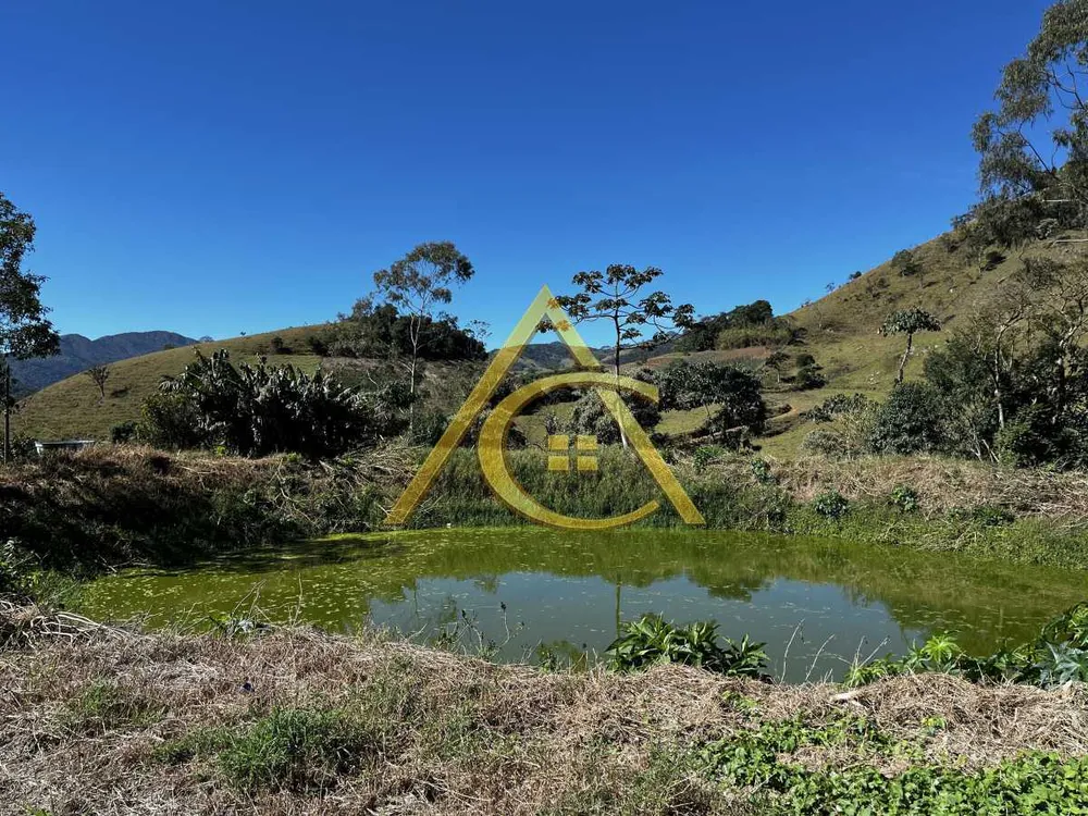 Fazenda, 28 hectares - Foto 30