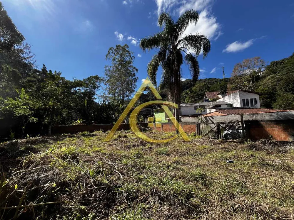 Terreno, 1132 m² - Foto 3
