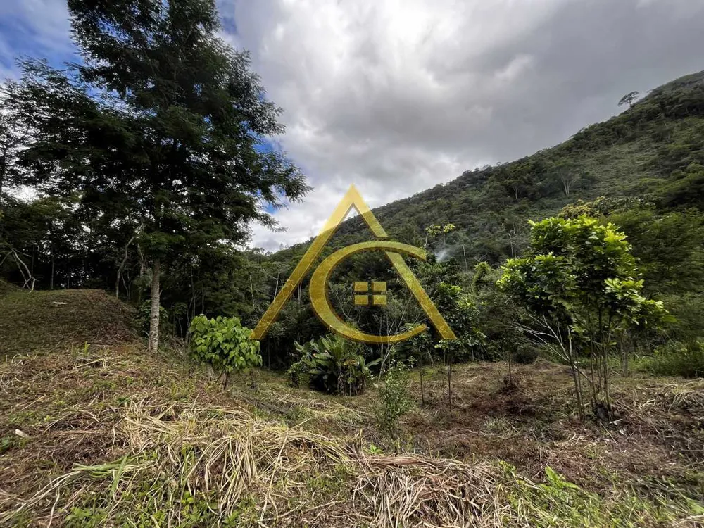 Terreno, 3 hectares - Foto 6