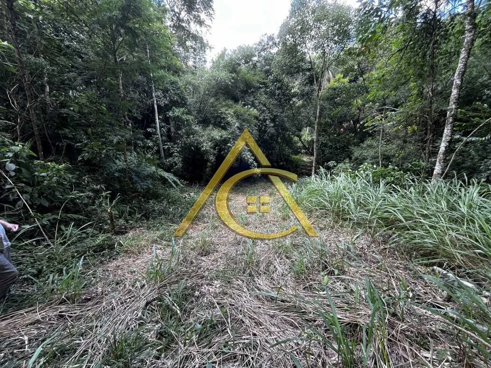Terreno, 3 hectares - Foto 18