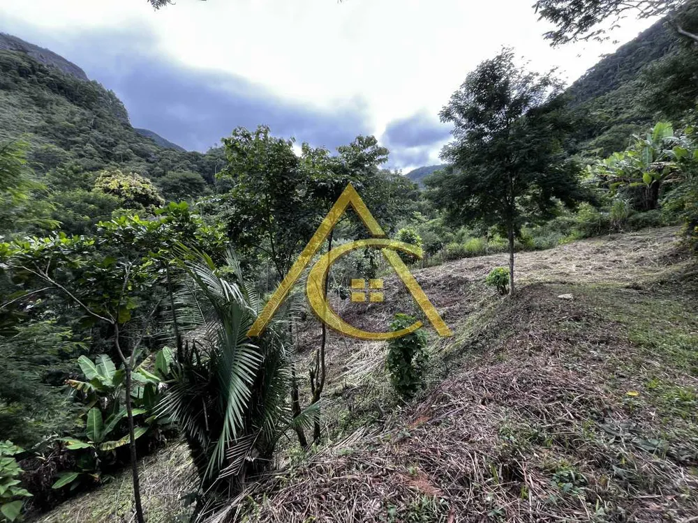 Terreno, 3 hectares - Foto 3