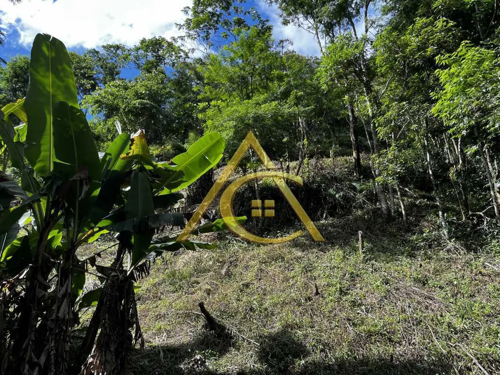 Terreno, 3 hectares - Foto 10