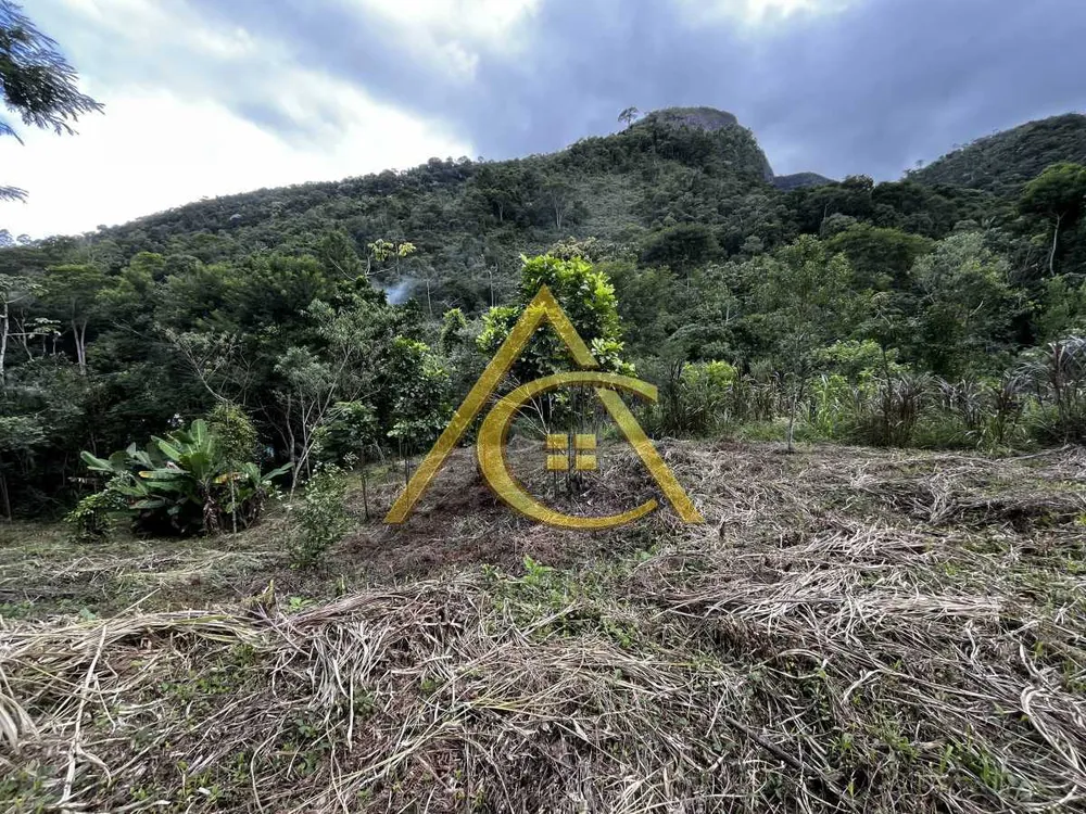Terreno, 3 hectares - Foto 7