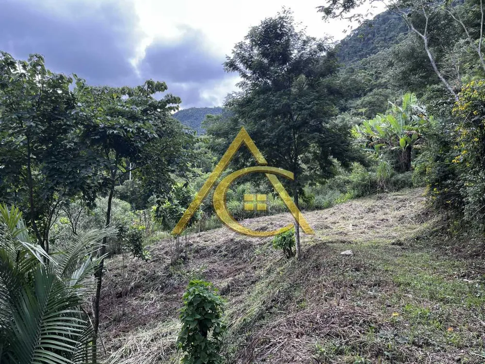 Terreno, 3 hectares - Foto 2
