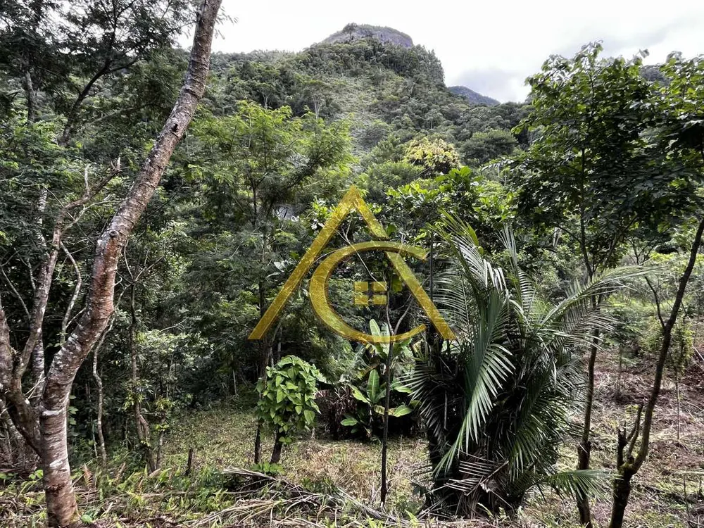 Terreno, 3 hectares - Foto 4
