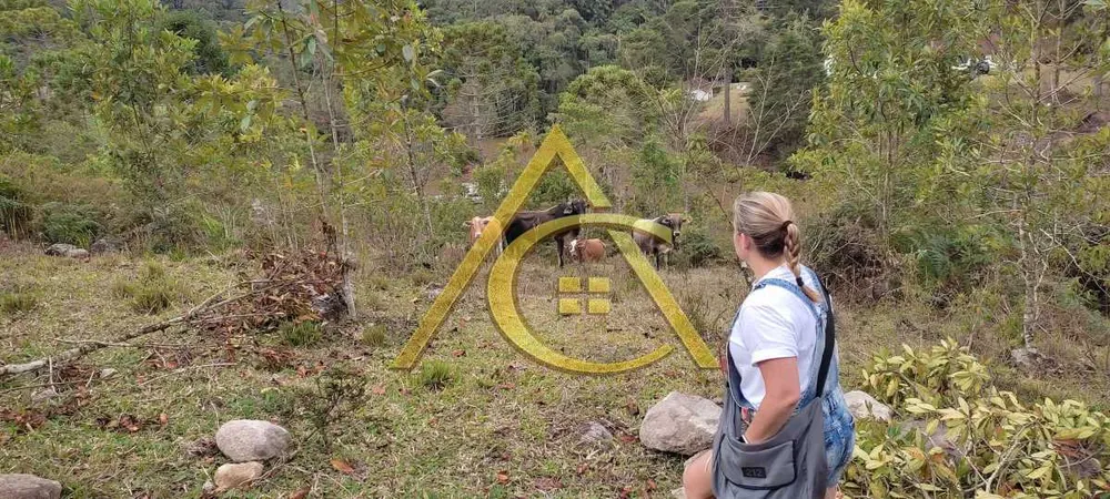 Terreno, 1 hectares - Foto 12