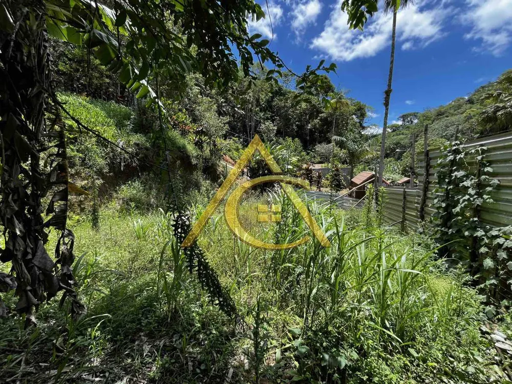 Terreno, 3930 m² - Foto 4