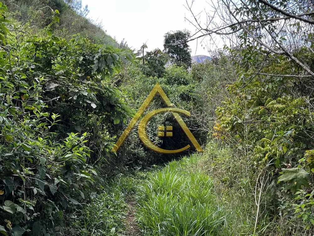 Terreno, 2 hectares - Foto 10