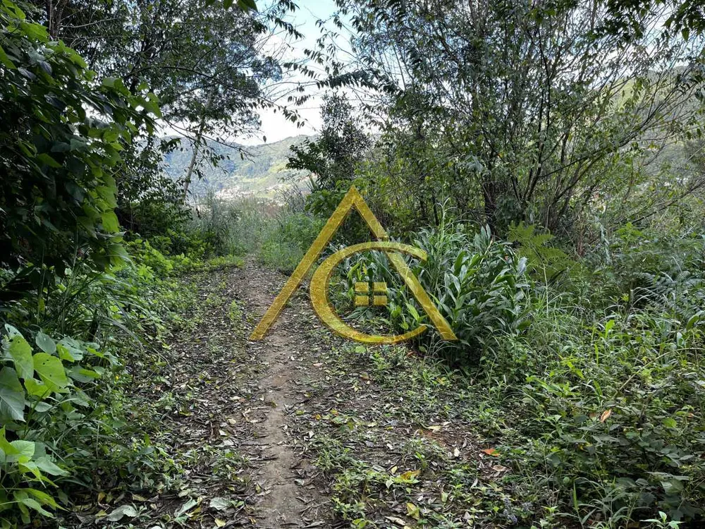 Terreno, 2 hectares - Foto 9