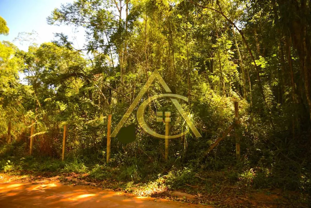 Terreno, 9 hectares - Foto 4